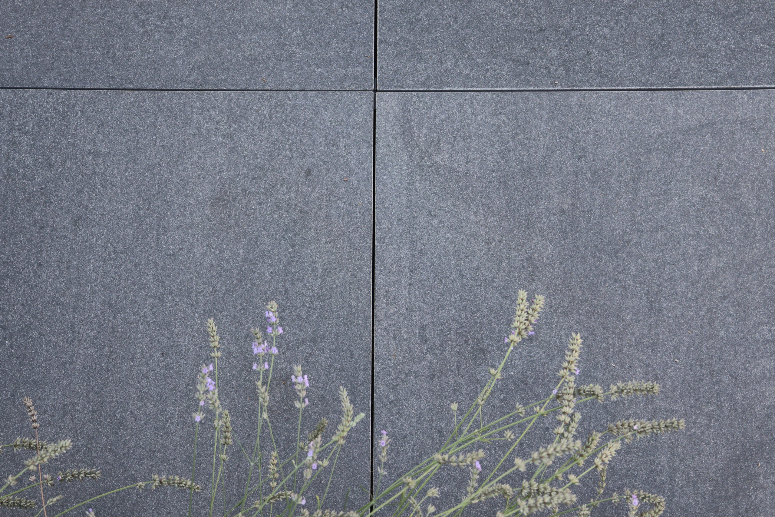 Granit Nero Assoluto Terrassenplatten – Bild 10