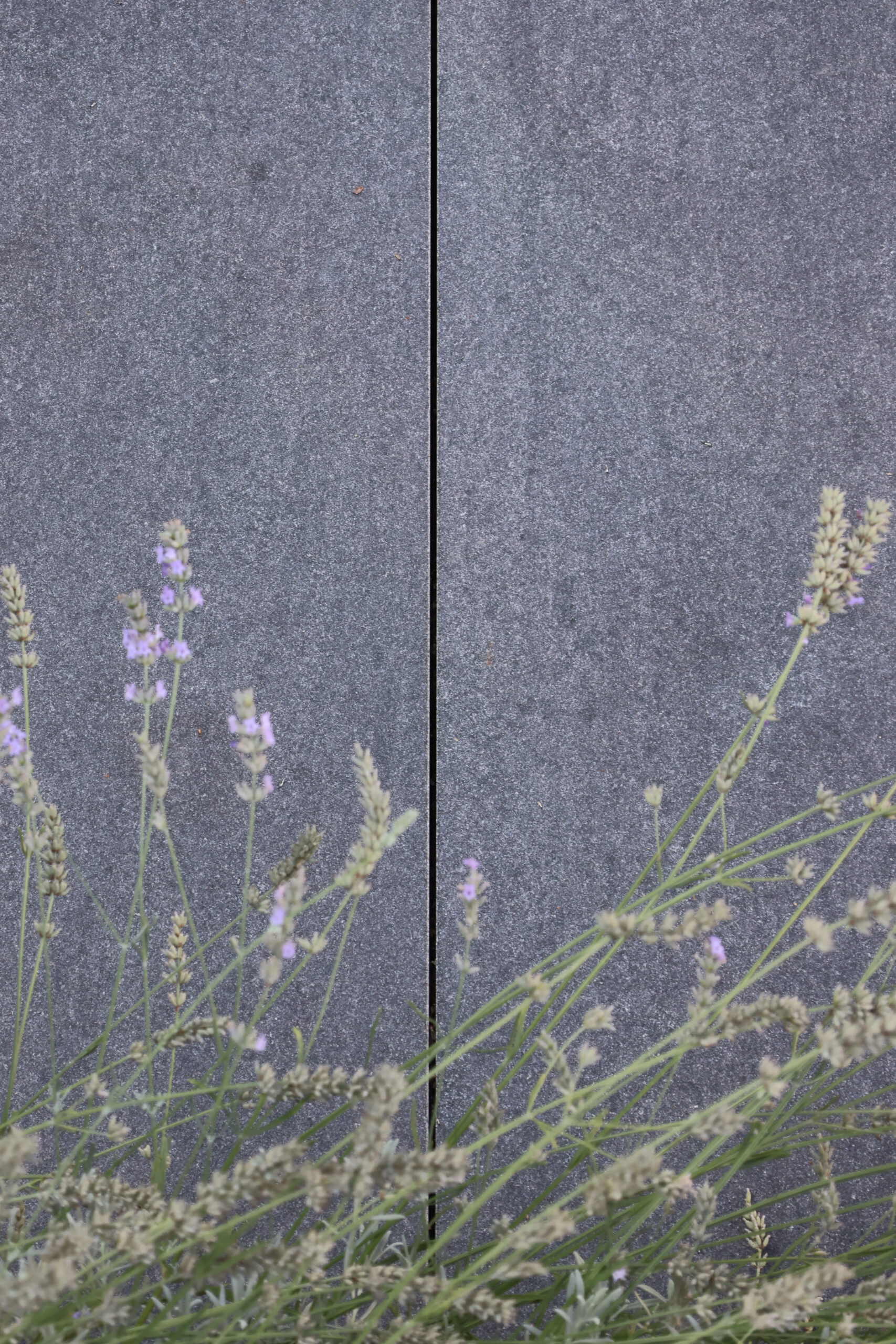 Granit Nero Assoluto Terrassenplatten – Bild 4